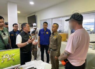 Phuket Cracks Down on Motorbike Rental Nominee Businesses
