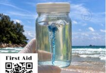 นักท่องเที่ยวต่างชาติได้รับบาดเจ็บจากแมงกะพรุนที่หาดในทอน ภูเก็ต