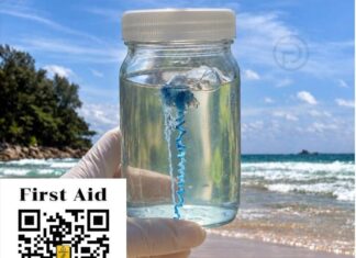 Buitenlandse toerist gewond geraakt door kwal op Nai Thon Beach in Phuket.