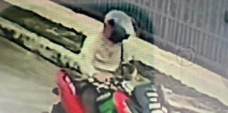 Maaltijdbezorger gearresteerd in Chalong, Phuket, na diefstal van contant geld en waardevolle spullen ter waarde van meer dan 3.69 miljoen baht uit buitenlandse woningen. 831455664_28745501445079712_5122919022495786012_n