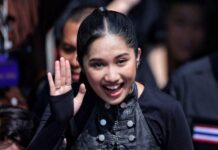 Le dépôt de la marque NENE ROYAL par une habitante de Chiang Mai suscite une vive réaction de la part de ses fans. FBIMG 1791109610167 741x486 1
